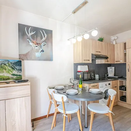 Apartmán Avec Vue Mont-blanc, Wifi Et Animaux Acceptes - Fr-1-343-221 *