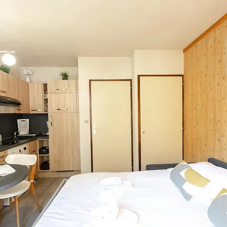 Apartmán Avec Vue Mont-blanc, Wifi Et Animaux Acceptes - Fr-1-343-221 *