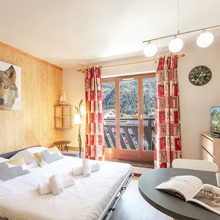 Avec Vue Mont-blanc, Wifi Et Animaux Acceptes - Fr-1-343-221 Appartement