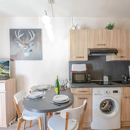 Appartement Avec Vue Mont-blanc, Wifi Et Animaux Acceptes - Fr-1-343-221 Chamonix