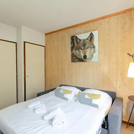 Avec Vue Mont-blanc, Wifi Et Animaux Acceptes - Fr-1-343-221 アパート シャモニー