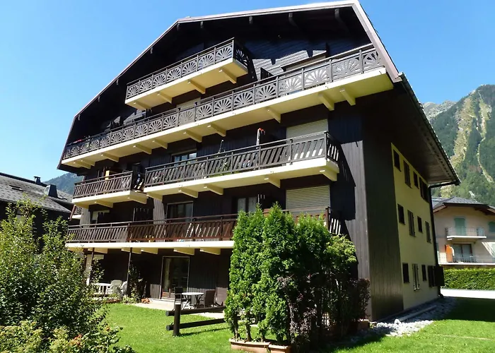 Avec Vue Mont-blanc, Wifi Et Animaux Acceptes - Fr-1-343-221 Apartment *