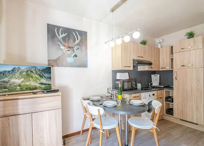 Avec Vue Mont-blanc, Wifi Et Animaux Acceptes - Fr-1-343-221 * Chamonix