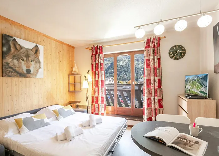 Apartment Avec Vue Mont-blanc, Wifi Et Animaux Acceptes - Fr-1-343-221 *