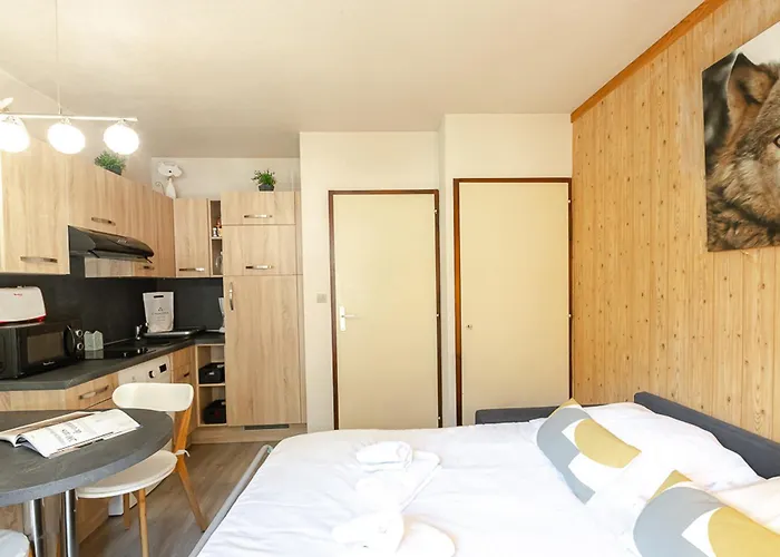 Avec Vue Mont-blanc, Wifi Et Animaux Acceptes - Fr-1-343-221 *