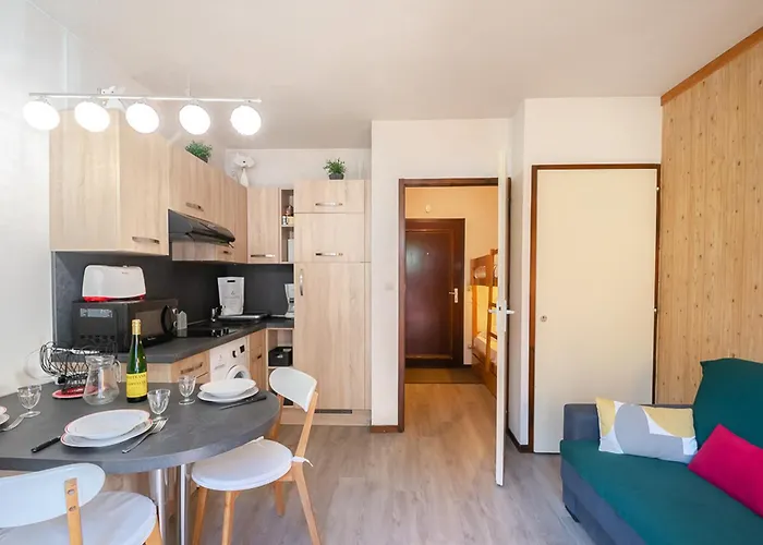 Avec Vue Mont-blanc, Wifi Et Animaux Acceptes - Fr-1-343-221 * Шамони