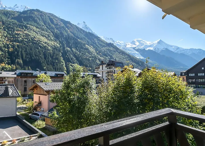 Апартаменты Avec Vue Mont-blanc, Wifi Et Animaux Acceptes - Fr-1-343-221