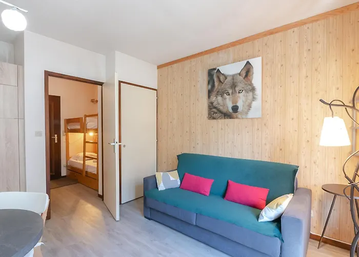 Avec Vue Mont-blanc, Wifi Et Animaux Acceptes - Fr-1-343-221