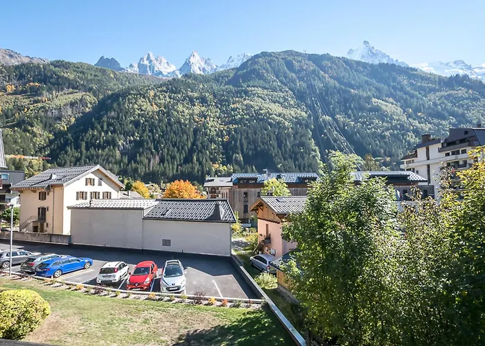 Avec Vue Mont-blanc, Wifi Et Animaux Acceptes - Fr-1-343-221 Апартаменты Шамони